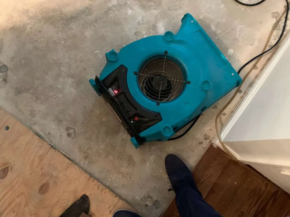 Air mover drying subfloor during Leak Detection & Repair in West Haven